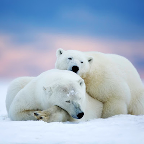 Meet your Posher, Philip - Picture 1 of 1